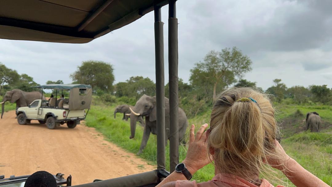1 Day Mikumi Safari from Morogoro